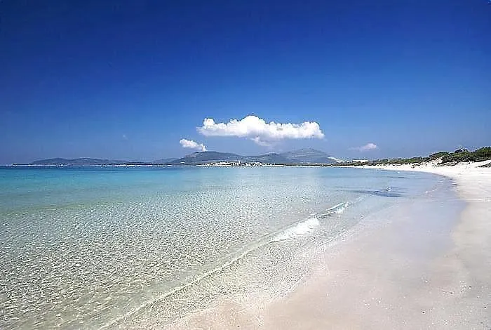 Rocca Pinta Oda ve Kahvaltı Alghero